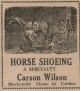 Wilson, Carson, advertisement