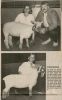 CHx-1995 Cobden Fair Sheep champions - Susie & Brady Laska
