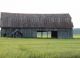 RC-Barn surrounded by crop, Bromley Twp., Renfrew County, Ontario