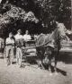 Dawson, Jack, Bob Bennett & Charlie Ireton with horse Nellie