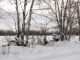 R-Winter scenes in Ross Township