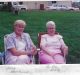 COBDEN CRAFT COUNCIL June meeting, 1996