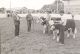ORG-COBDEN AGRICULTURAL SOCIETY & FAIR, 1971 Judging Shorthorn cattle Hartwell Dunlop, Harold Hawthorn, Gordon Bilson, Ivan Hawthorn in outdoor arena