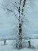 W-Winter Rural Scene in Westmeath Township